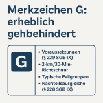 Merkzeichen im Schwerbehindertenausweis: Überblick, Kriterien, Vorteile 1