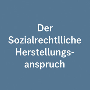 Der Sozialrechtliche Herstellungsanspruch