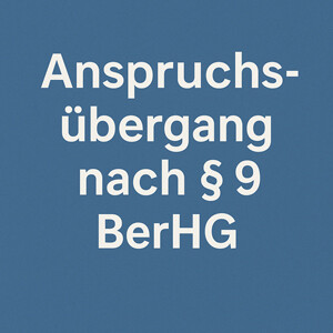 Anspruchsübergang gemäß § 9 S. 2 BerHG – Erstattung der Kosten im Widerspruchsverfahren