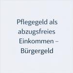 Pflegegeld als abzugsfreies Einkommen beim Bürgergeld 3