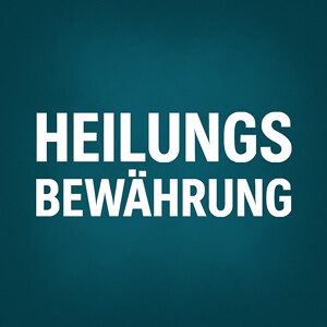 Schwerbehindertenrecht, Rehabilitation und Teilhabe 2