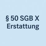 Erstattung zu Unrecht erbrachter Leistungen 1